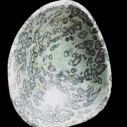 Kambaba Jasper hand-carved basin 240*197*95mm 4680g in sunlight - Rocks and Things Store