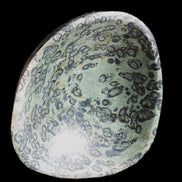Kambaba Jasper hand-carved basin 240*197*95mm 4680g in sunlight - Rocks and Things Store