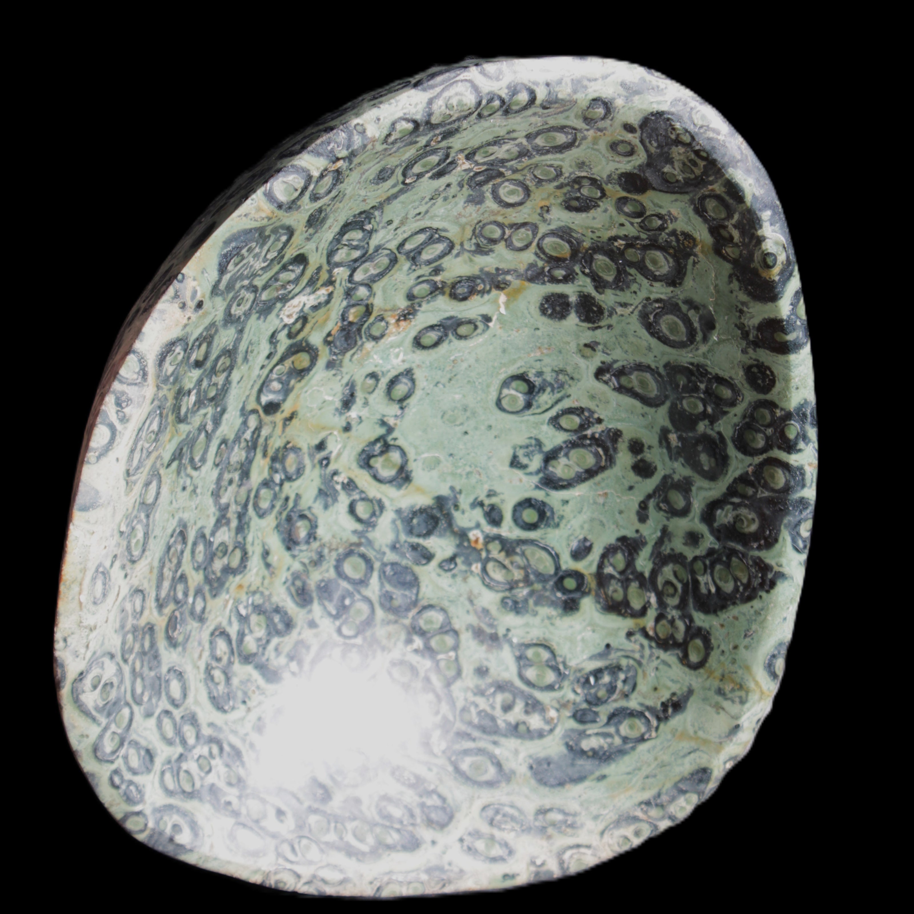 Kambaba Jasper hand-carved basin 240*197*95mm 4680g in sunlight - Rocks and Things Store