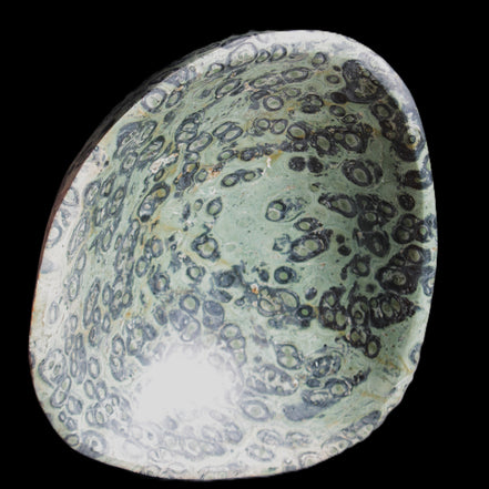 Kambaba Jasper hand-carved basin 240*197*95mm 4680g in sunlight - Rocks and Things Store