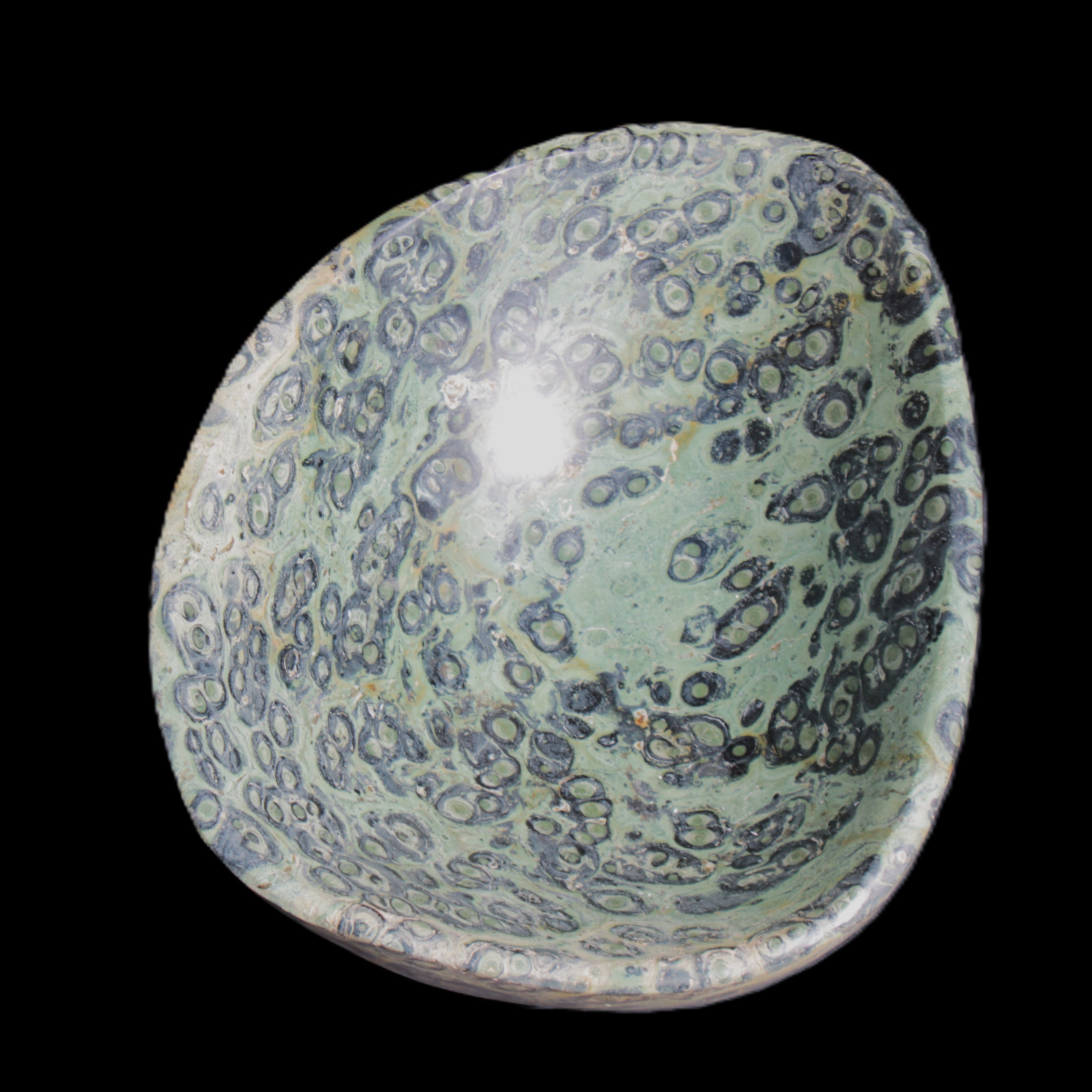 Kambaba Jasper hand-carved basin 240*197*95mm 4680g in sunlight - Rocks and Things Store
