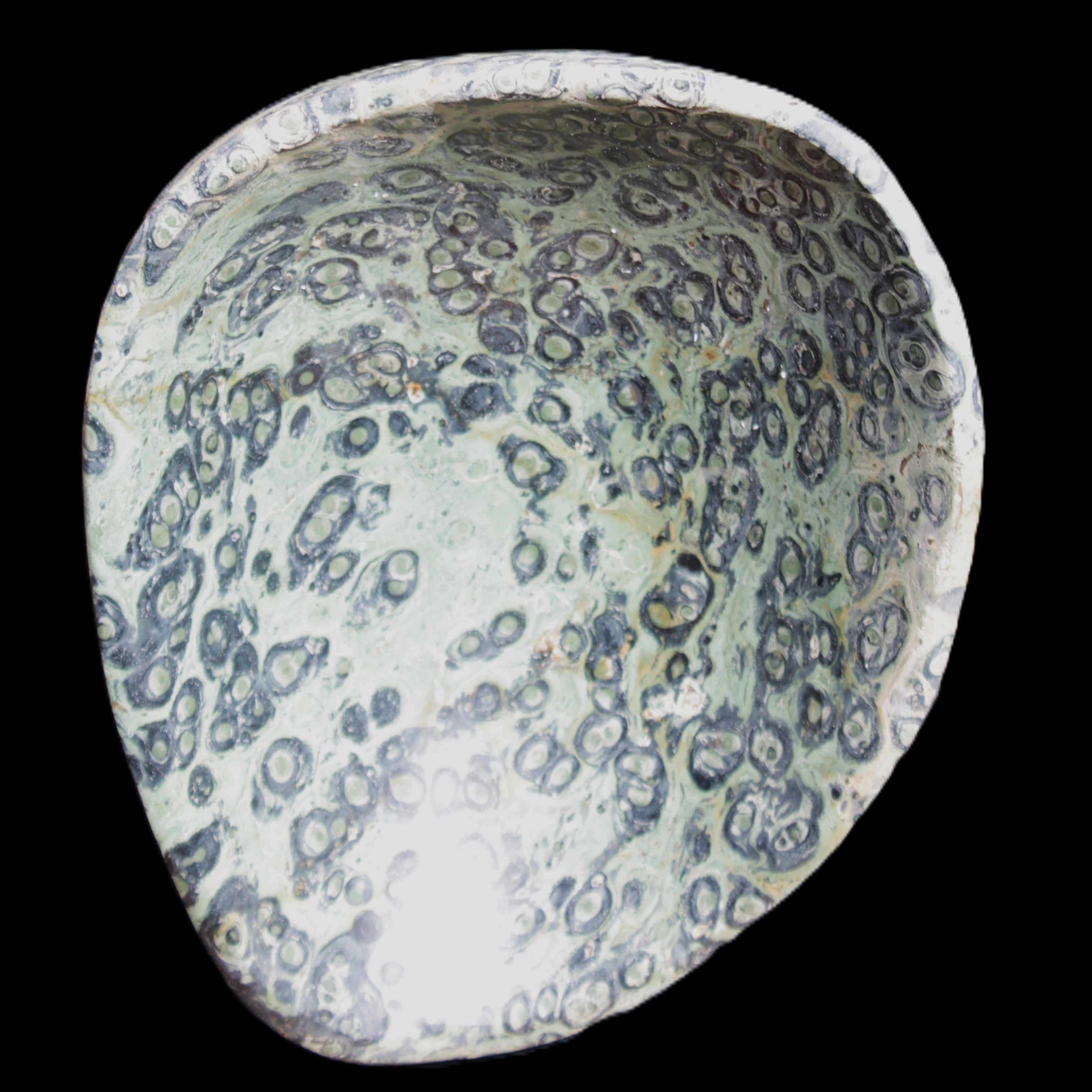 Kambaba Jasper hand-carved basin 240*197*95mm 4680g in sunlight - Rocks and Things Store