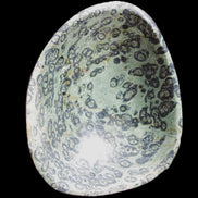 Kambaba Jasper hand-carved basin 240*197*95mm 4680g in sunlight - Rocks and Things Store