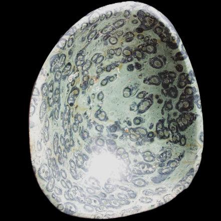 Kambaba Jasper hand-carved basin 240*197*95mm 4680g in sunlight - Rocks and Things Store