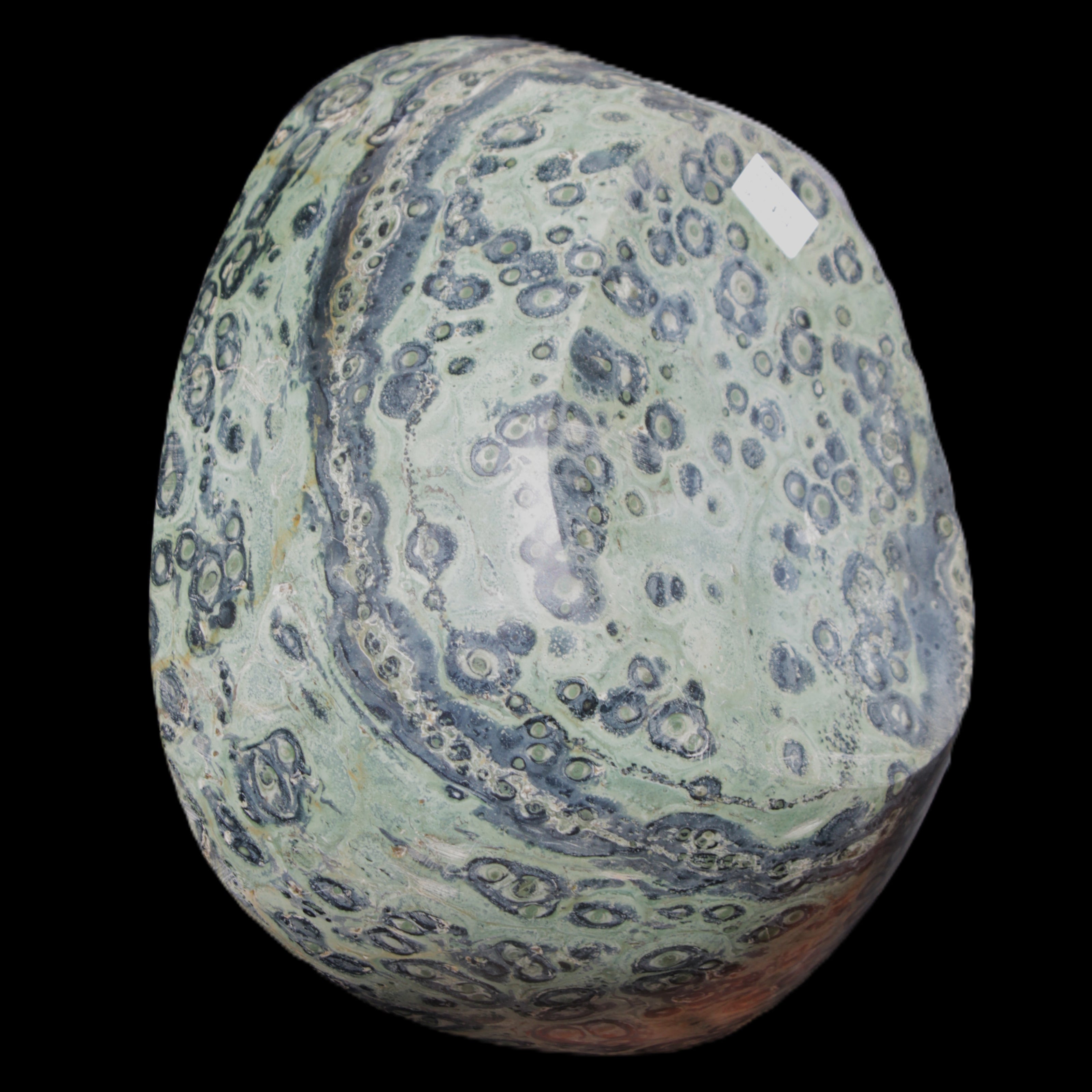 Kambaba Jasper hand-carved basin 240*197*95mm 4680g in sunlight - Rocks and Things Store