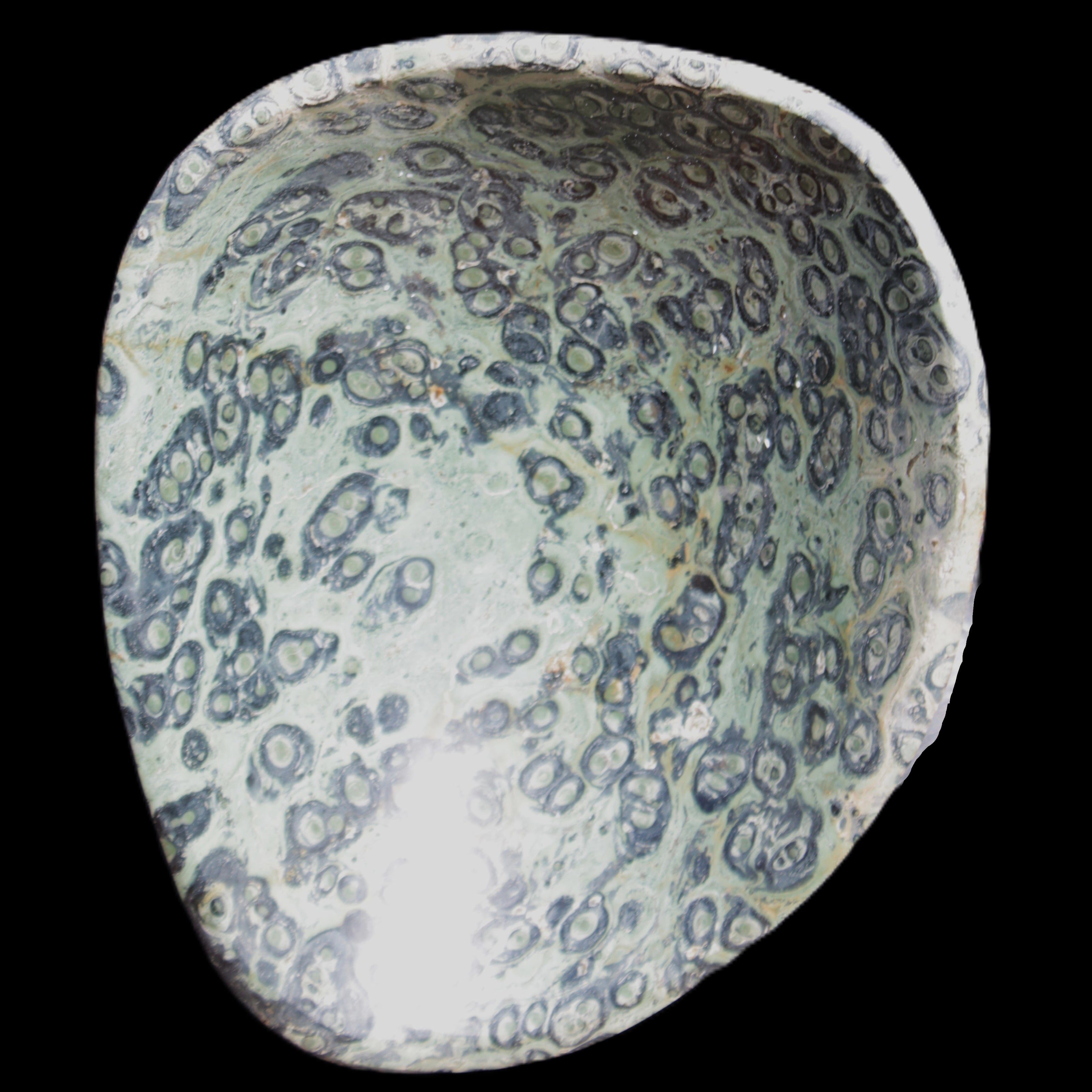 Kambaba Jasper hand-carved basin 240*197*95mm 4680g in sunlight - Rocks and Things Store