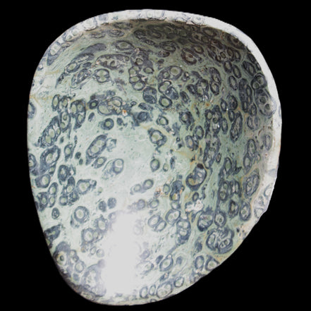 Kambaba Jasper hand-carved basin 240*197*95mm 4680g in sunlight - Rocks and Things Store