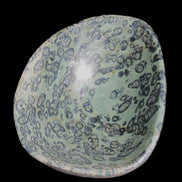 Kambaba Jasper hand-carved basin 240*197*95mm 4680g in sunlight - Rocks and Things Store