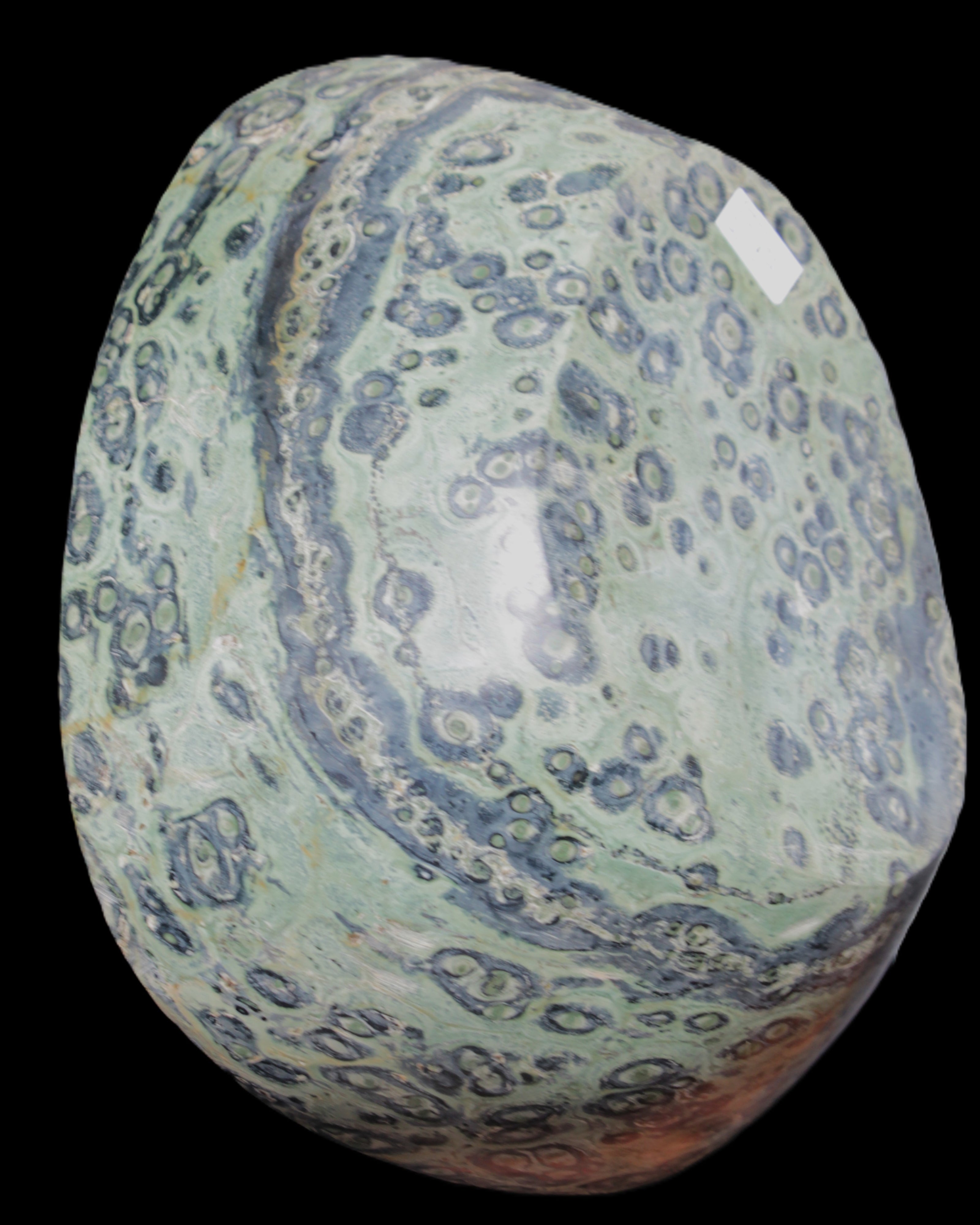 Kambaba Jasper hand-carved basin 240*197*95mm 4680g in sunlight - Rocks and Things Store