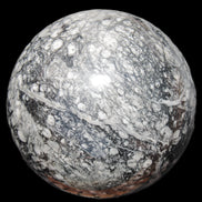 Huge Orthoceras sphere 165mm 6380g in sunlight - Rocks and Things Store