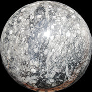 Huge Orthoceras sphere 165mm 6380g in sunlight - Rocks and Things Store