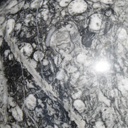 Huge Orthoceras sphere 165mm 6380g in sunlight - Rocks and Things Store