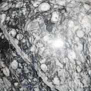 Huge Orthoceras sphere 165mm 6380g in sunlight - Rocks and Things Store