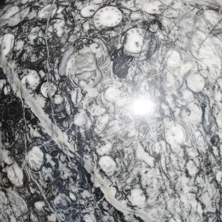 Huge Orthoceras sphere 165mm 6380g in sunlight - Rocks and Things Store