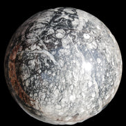 Huge Orthoceras sphere 165mm 6380g in sunlight - Rocks and Things Store