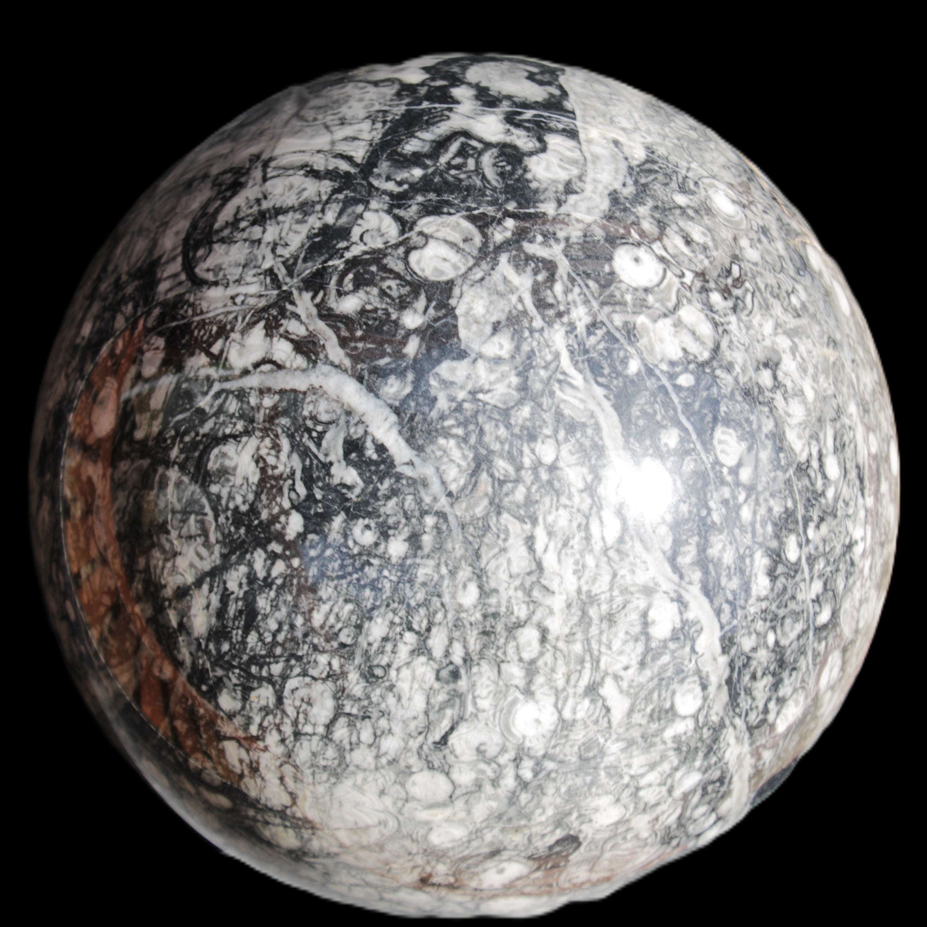 Huge Orthoceras sphere 165mm 6380g in sunlight - Rocks and Things Store