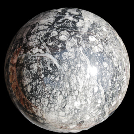 Huge Orthoceras sphere 165mm 6380g in sunlight - Rocks and Things Store