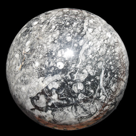 Huge Orthoceras sphere 165mm 6380g in sunlight - Rocks and Things Store