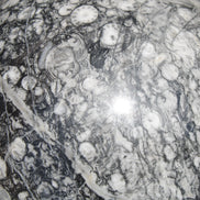 Huge Orthoceras sphere 165mm 6380g in sunlight - Rocks and Things Store