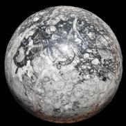 Huge Orthoceras sphere 165mm 6380g in sunlight - Rocks and Things Store