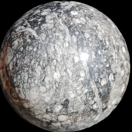 Huge Orthoceras sphere 165mm 6380g in sunlight - Rocks and Things Store