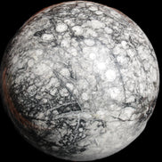 Huge Orthoceras sphere 165mm 6380g in sunlight - Rocks and Things Store