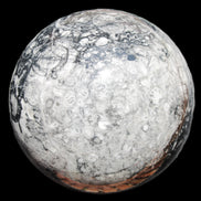 Huge Orthoceras sphere 165mm 6380g in sunlight - Rocks and Things Store