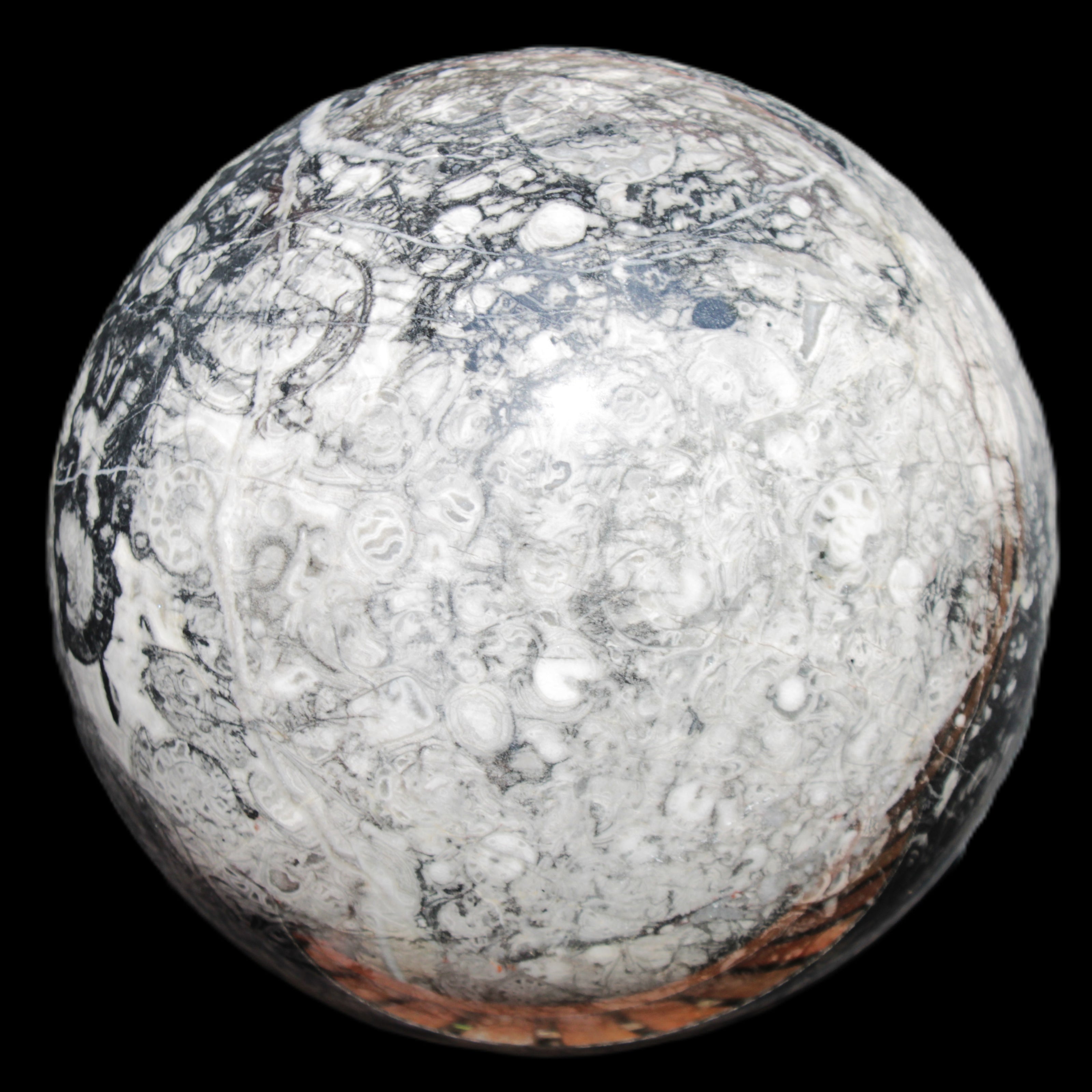 Huge Orthoceras sphere 165mm 6380g in sunlight - Rocks and Things Store