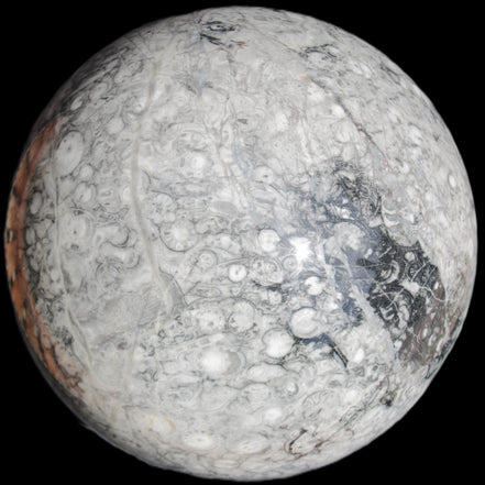 Huge Orthoceras sphere 165mm 6380g in sunlight - Rocks and Things Store