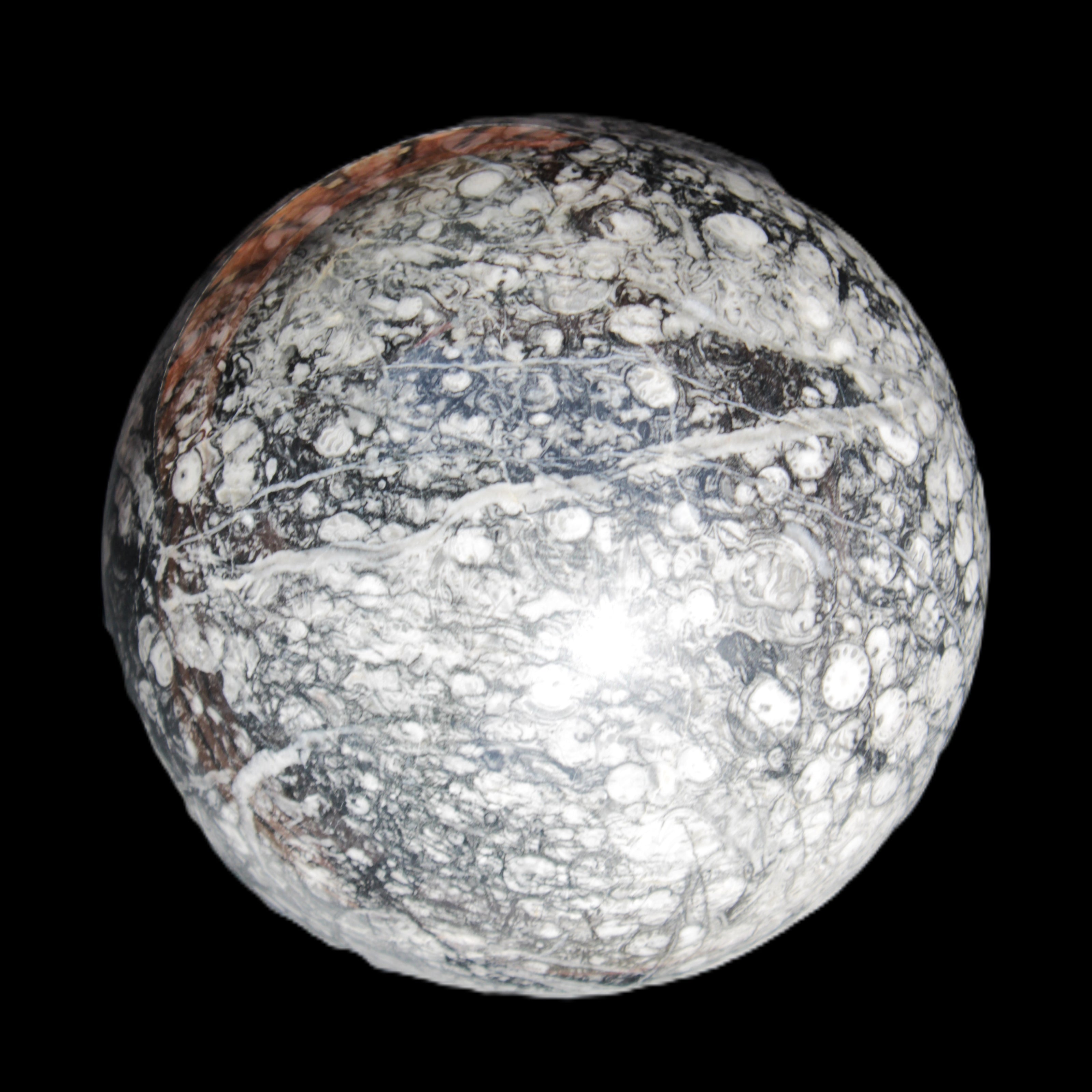 Huge Orthoceras sphere 165mm 6380g in sunlight - Rocks and Things Store