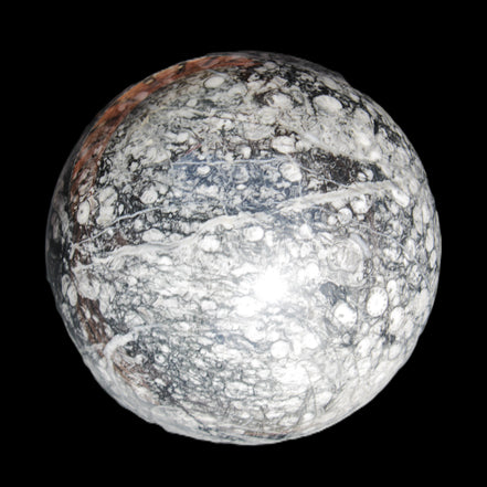 Huge Orthoceras sphere 165mm 6380g in sunlight - Rocks and Things Store