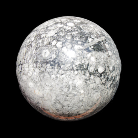 Huge Orthoceras sphere 165mm 6380g in sunlight - Rocks and Things Store