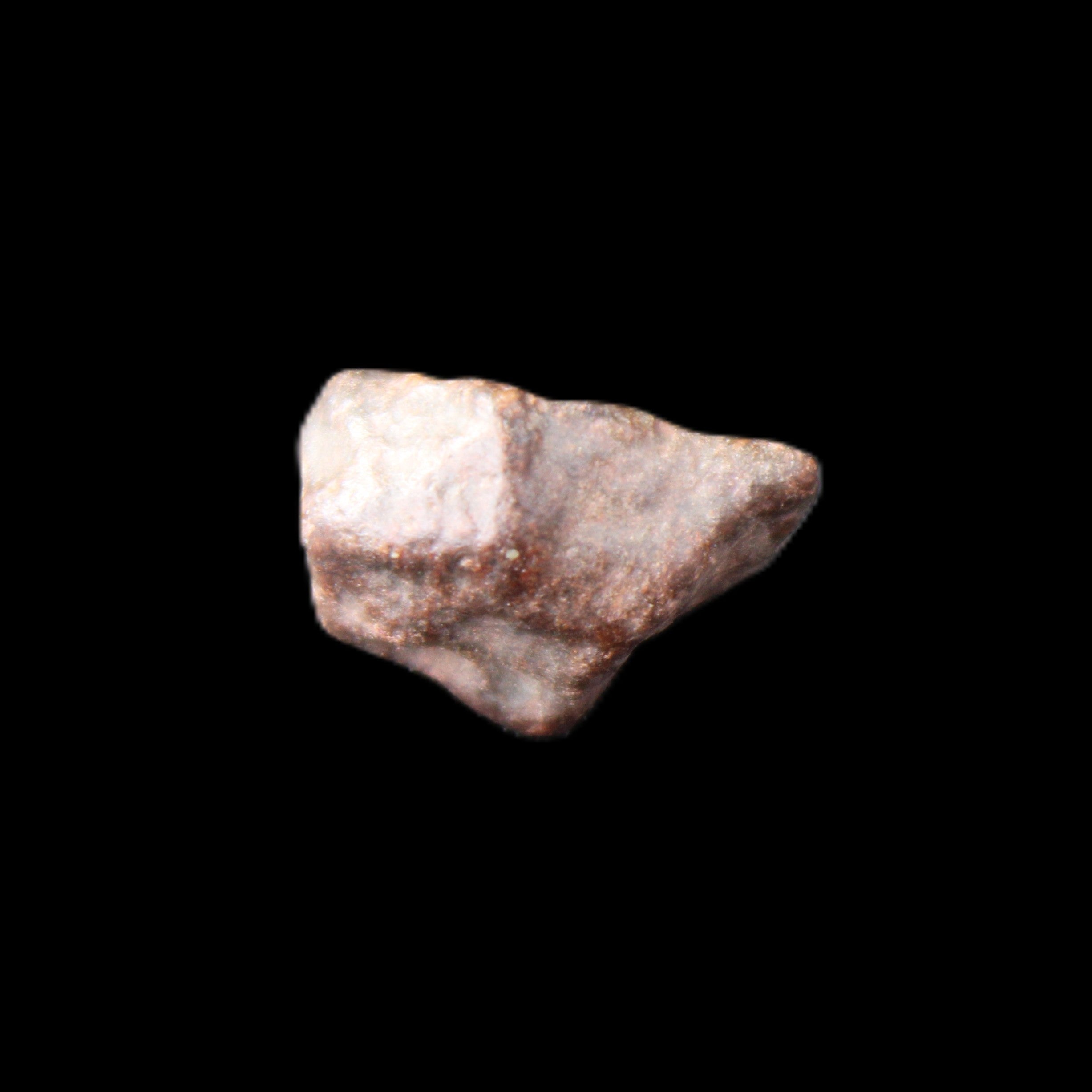 Chondrite Meteorite from Sahara Desert 1.53g in sunlight - Rocks and Things Store