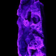 Fluorite obelisk 221*77*40mm 1410g in UV light - Rocks and Things Store