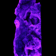 Fluorite obelisk 221*77*40mm 1410g in UV light - Rocks and Things Store