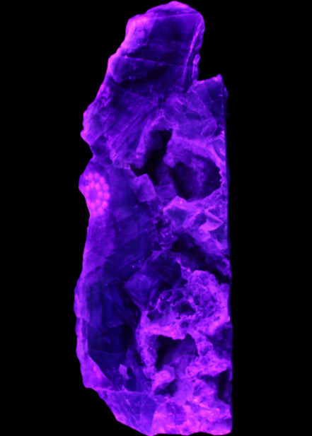 Fluorite obelisk 221*77*40mm 1410g in UV light - Rocks and Things Store