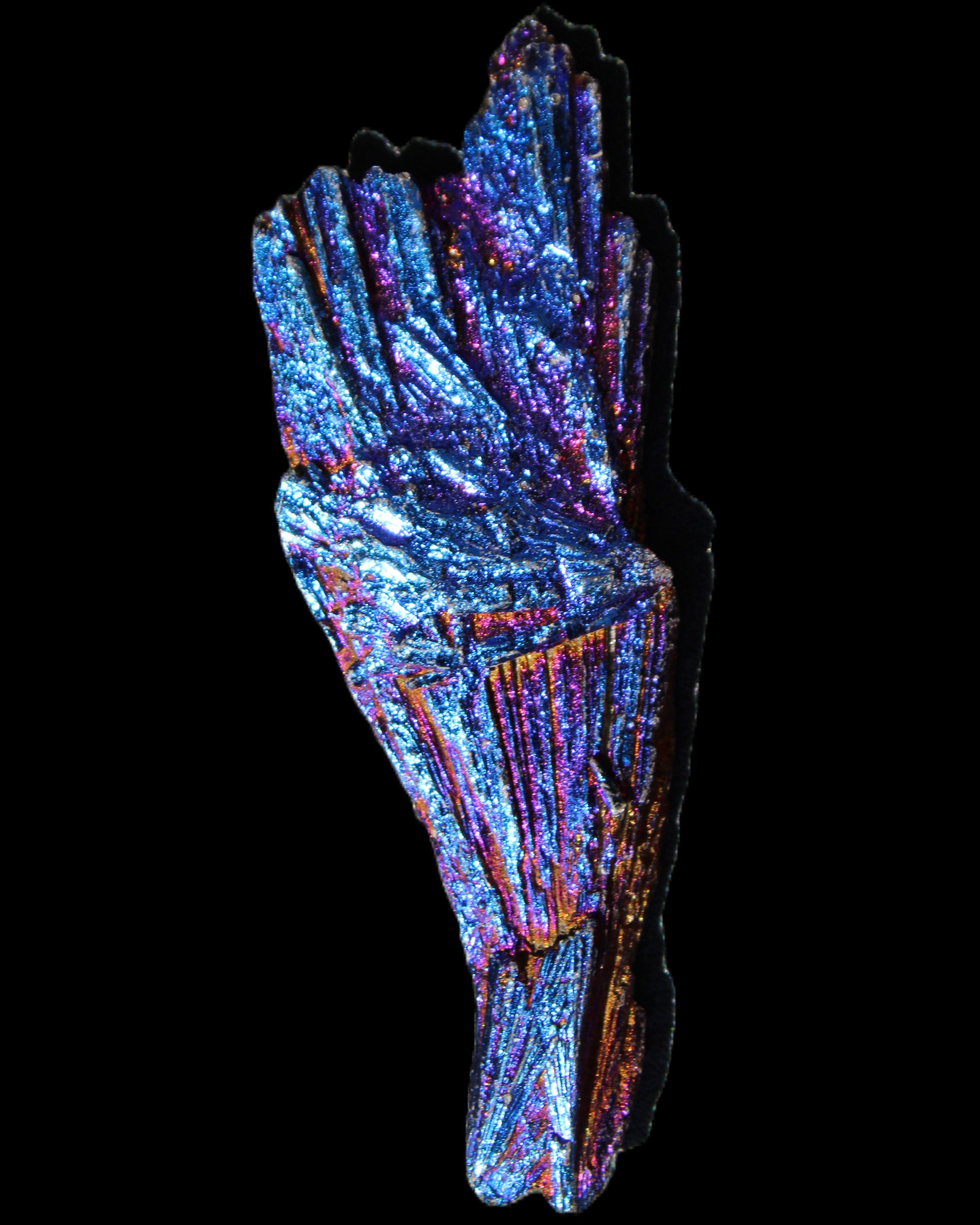 Titanium electroplated Tourmaline feather crystal 12-15g in sunlight - Rocks and Things Store