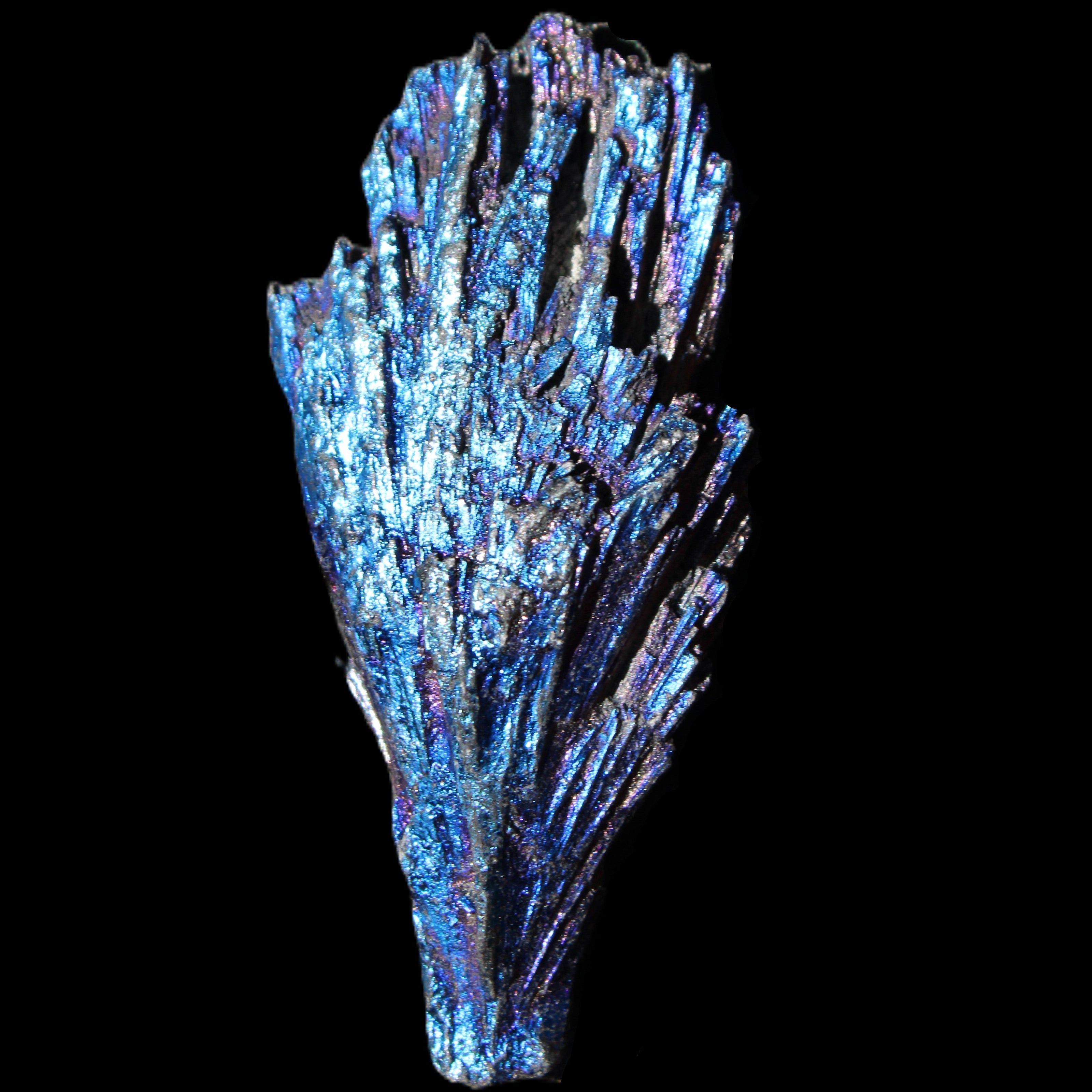 Titanium electroplated Tourmaline feather crystal 12-15g in sunlight - Rocks and Things Store