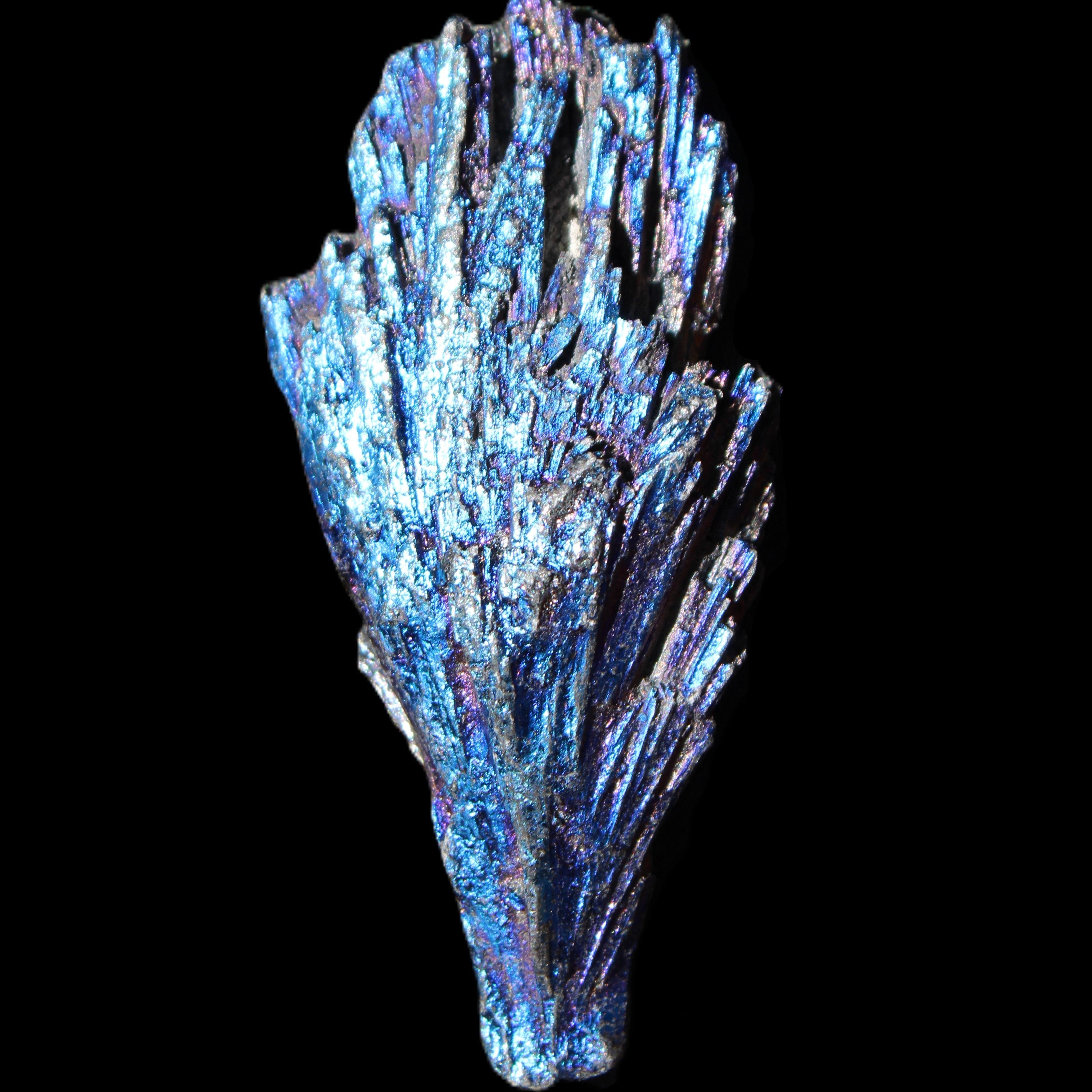Titanium electroplated Tourmaline feather crystal 12-15g in sunlight - Rocks and Things Store