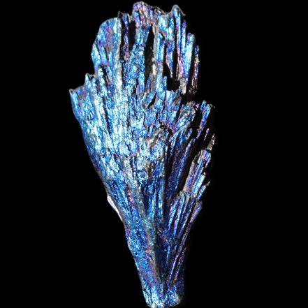 Titanium electroplated Tourmaline feather crystal 12-15g in sunlight - Rocks and Things Store