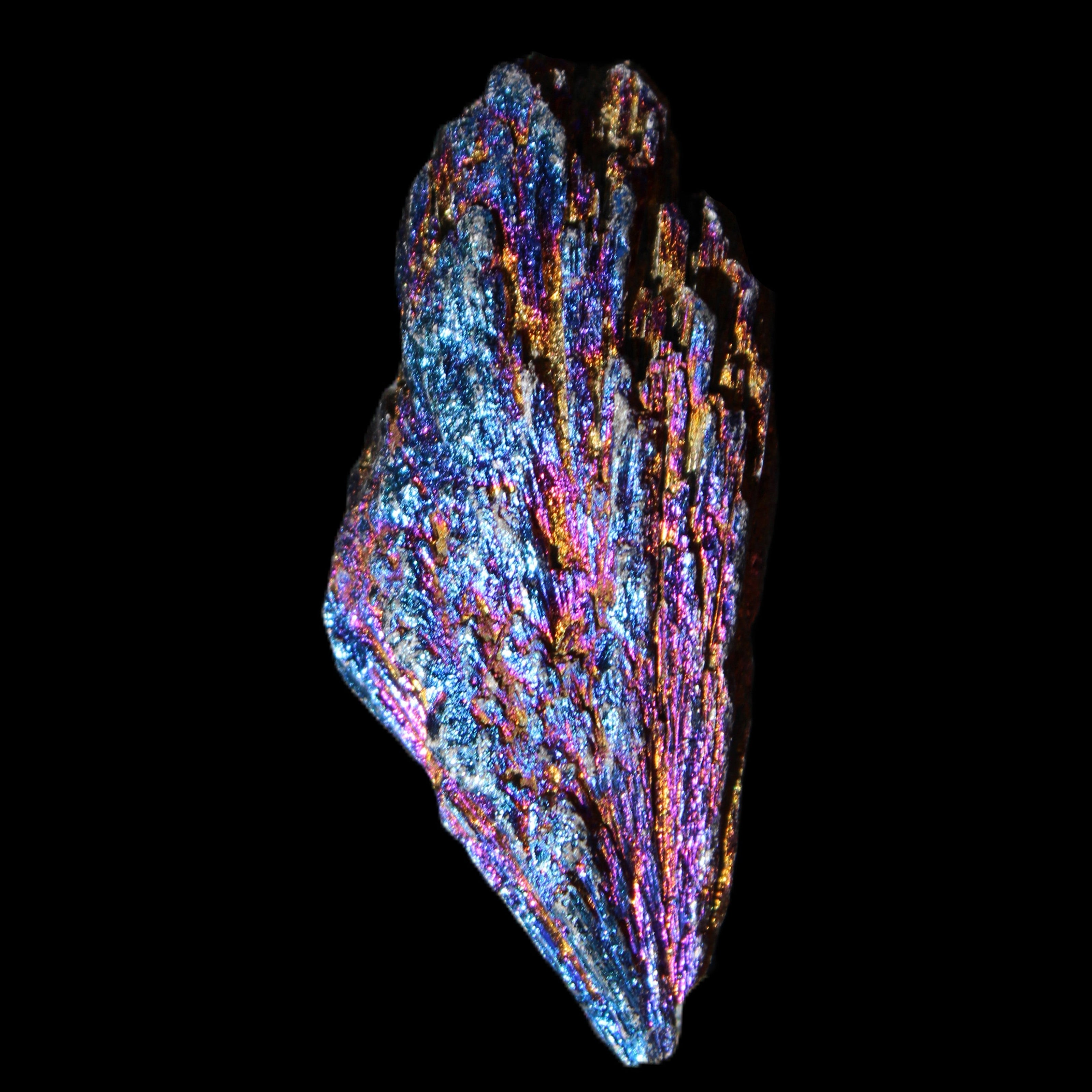 Titanium electroplated Tourmaline feather crystal 12-15g in sunlight - Rocks and Things Store