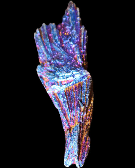 Titanium electroplated Tourmaline feather crystal 12-15g in sunlight - Rocks and Things Store