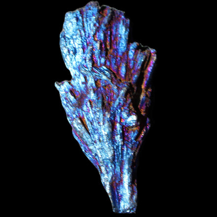 Titanium electroplated Tourmaline feather crystal 12-15g in sunlight - Rocks and Things Store