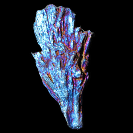 Titanium electroplated Tourmaline feather crystal 12-15g in sunlight - Rocks and Things Store