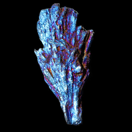 Titanium electroplated Tourmaline feather crystal 12-15g in sunlight - Rocks and Things Store