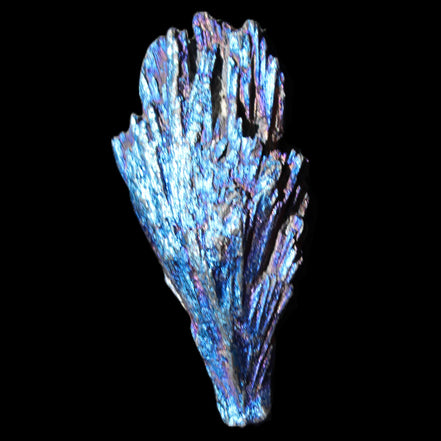 Titanium electroplated Tourmaline feather crystal 12-15g in sunlight - Rocks and Things Store