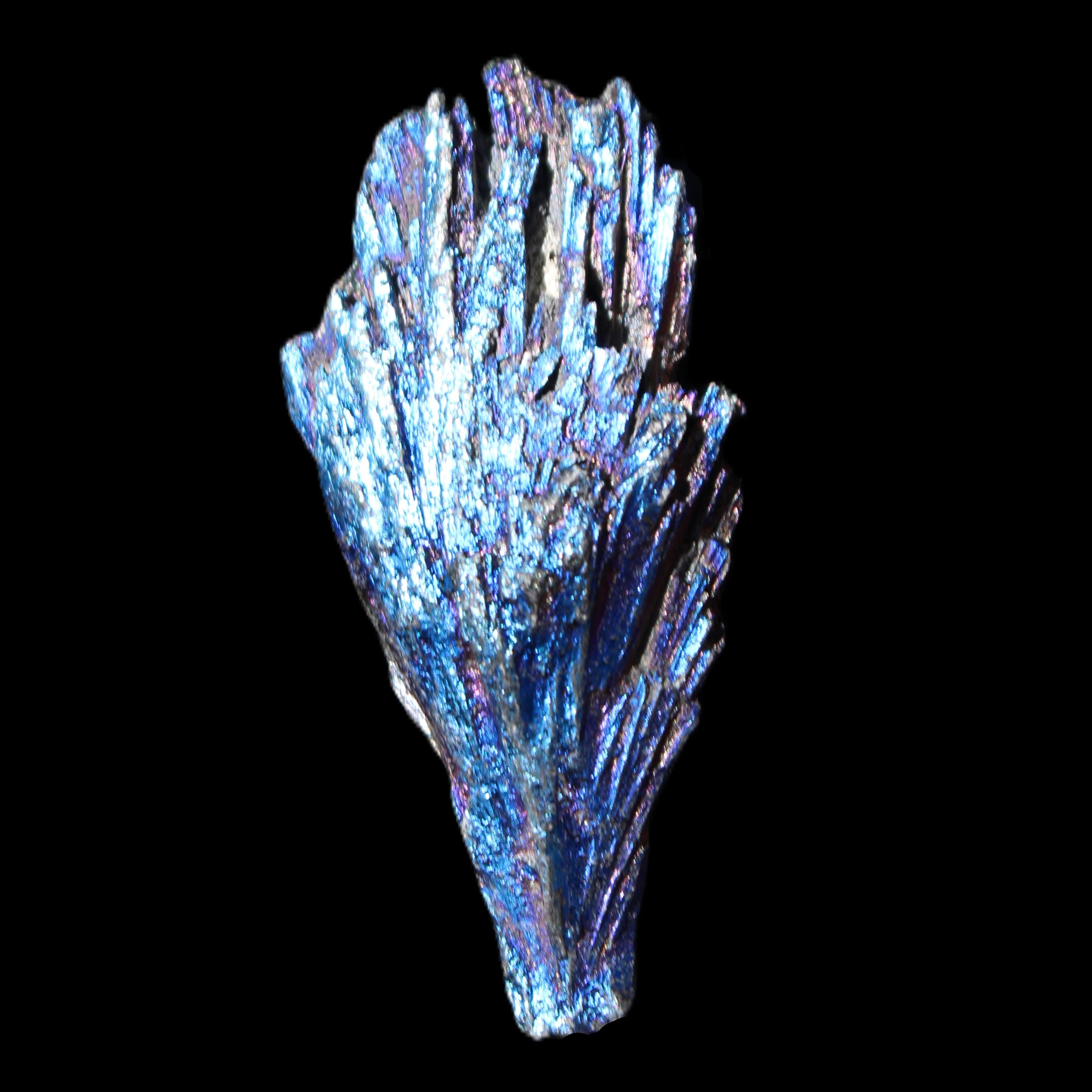 Titanium electroplated Tourmaline feather crystal 12-15g in sunlight - Rocks and Things Store