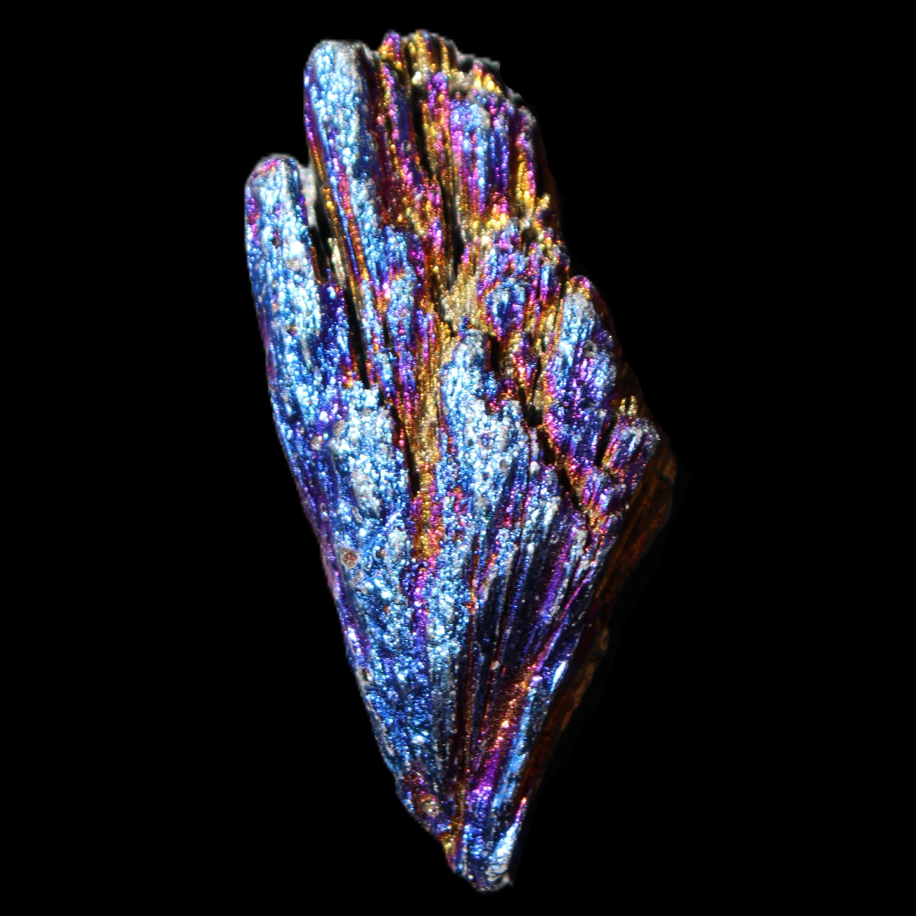 Titanium electroplated Tourmaline feather crystal 12-15g in sunlight - Rocks and Things Store