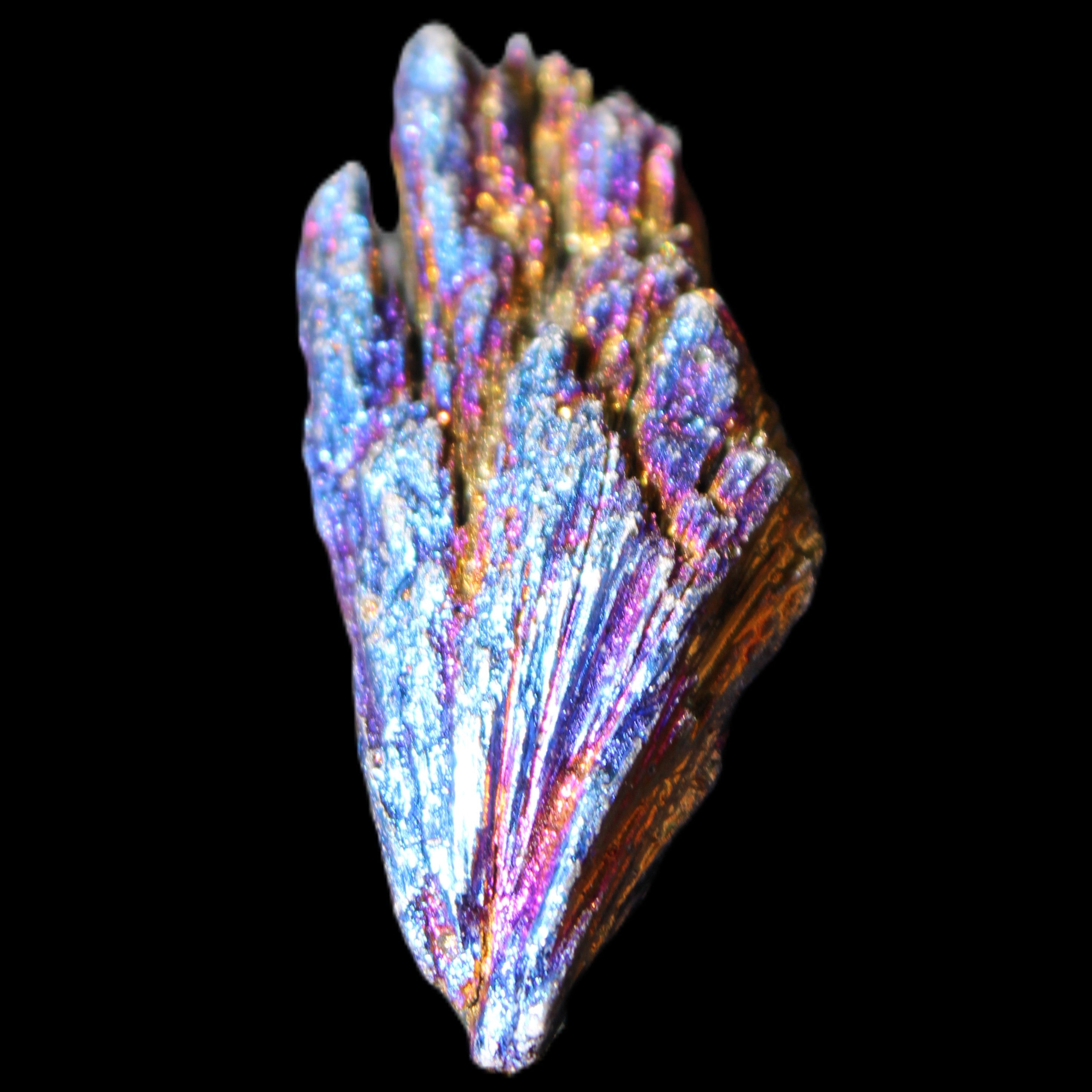 Titanium electroplated Tourmaline feather crystal 12-15g in sunlight - Rocks and Things Store