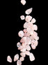 Rose Quartz 40 tiny drilled beads in bright sunlight - Rocks and Things Store